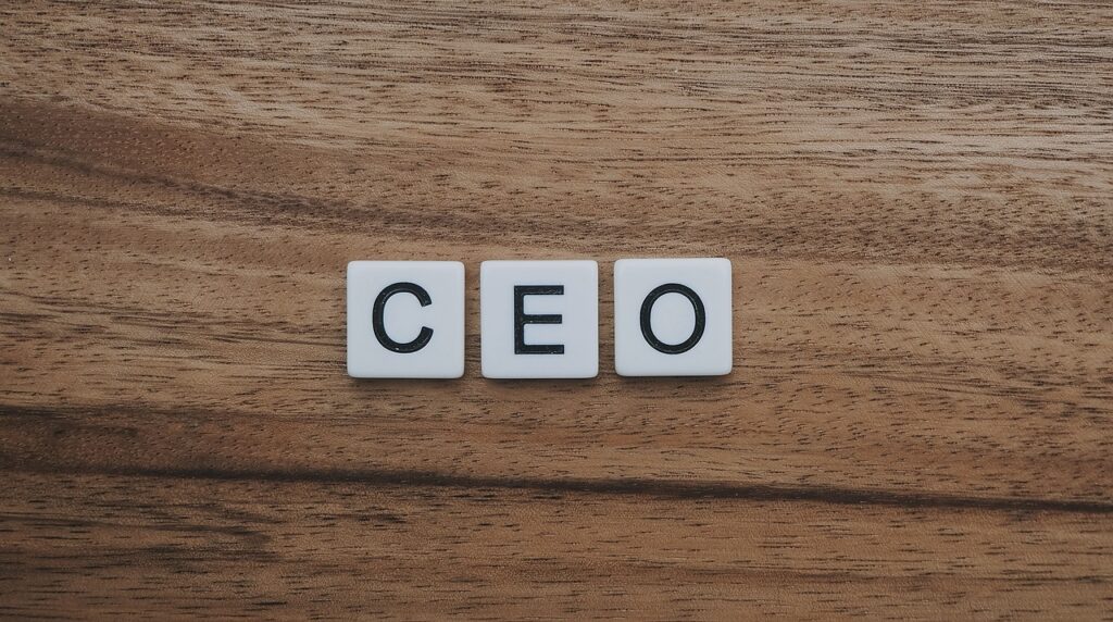 The CEO role determines digital transformation success 2 The CEO role determines digital transformation success
